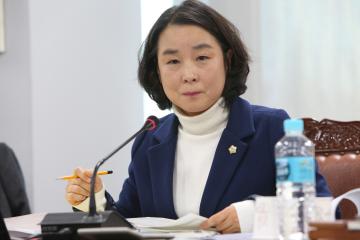 2015년 예산결산특별위원회